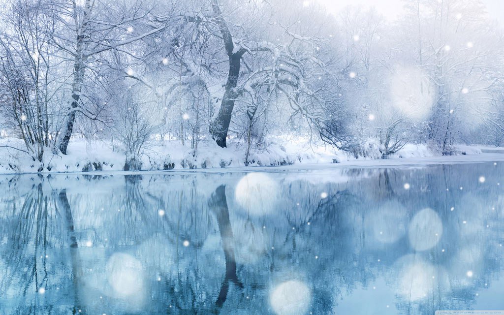 Nền Vảy Tuyết Mô Hình Tuyết Rơi Trong Suốt Bị Cô Lập Với Hiệu Ứng Lớp Phủ  Những Bông Tuyết Trắng Rơi Với Ánh Sáng Lấp Lánh Bokeh Tuyết Giáng Sinh Rơi