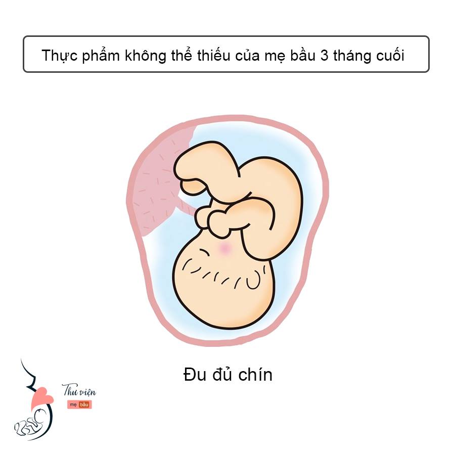 Mẹ bầu 3 tháng cuối, đừng bỏ qua 8 loại thực phẩm sau đây nếu muốn bé bổ não, tăng cân mẹ nhé!!!