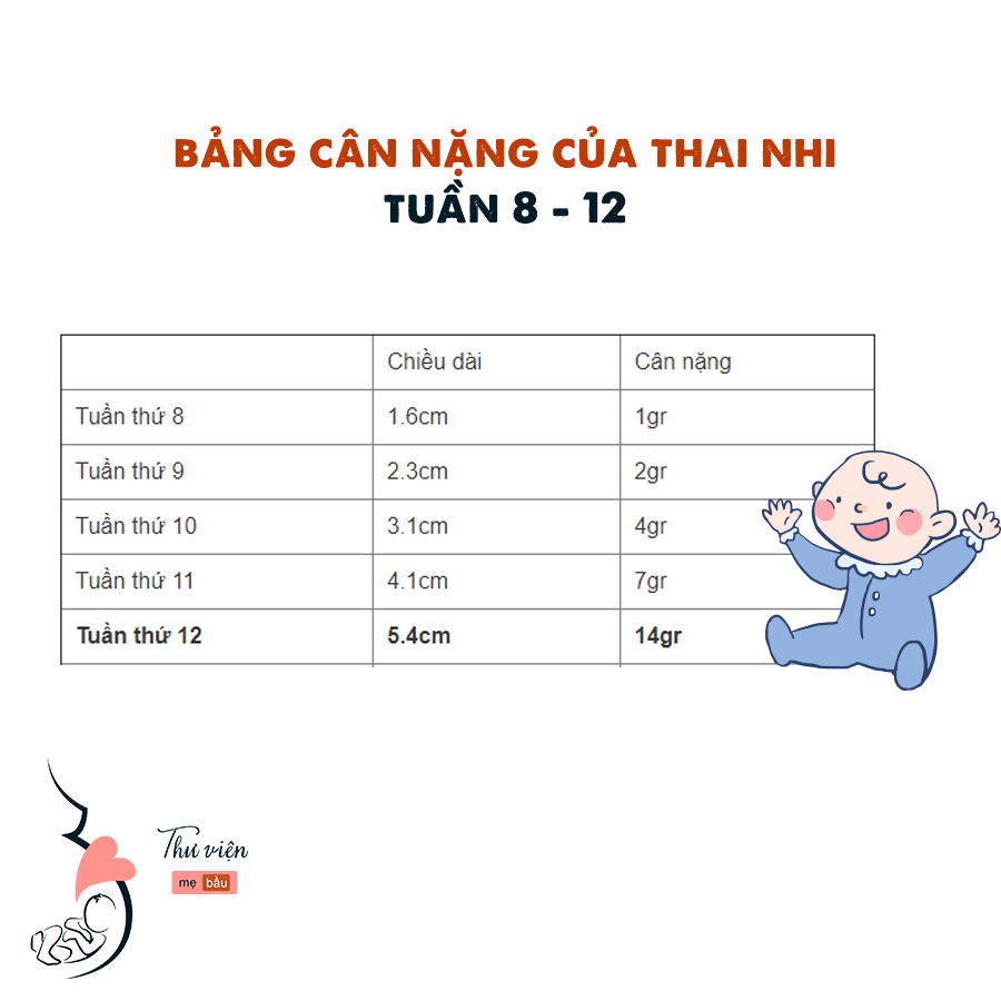 Bảng cân nặng của thai nhi theo từng tuần tuổi

Mẹ có thể lưu lại để tiện theo dõi con nhé. Bảng cân chung nên nhiều bé tùy cơ địa mẹ sẽ hơi còi hơn một chút các mẹ cũng đừng lo quá nhé.

Đi siêu âm con vẫn khỏe và phát triển tốt là được rồi ạ <3

Nguồn: Internet
Biên tập: Mẹ Coca