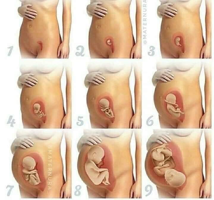 Dù là sinh lần đầu hay lần sau thì vẫn cứ là phải lưu lại kẻo quênn😍
* CÁC MỐC KHÁM THAI QUAN TRỌNG: 
1. Thử que 2 vạch (chậm kinh7-10 ngày là chính xác nhất). Đi siêu âm ktra xem thai vào buồng tử cung hay chưa , loại bỏ chửa ngoài tử cung
2. Tuần > 6: siêu âm tim thai, mốc này sau 2 tuần là ktra tim thai 1 lần 
3. Tuần 12: đo độ mờ da gáy (biết đc các dị tật bẩm sinh) và làm doupletest sàng lọc dị tật
Tuần 16 : kiểm tra mặt mũi chân tay xem có bất thường hay không và làm Tripletest.
4. Tuần 22: siêu âm 4d, hình thái học kiểm tra dị tật tim bẩm sinh ( mốc này rất quan trọng ).
5. Tuần 26: tiêm phòng uốn ván mũi 1
6. Tuần 28: xét nghiệm tiểu đường thai kỳ (lấy máu 3 lần) Tiêm uốn ván mũi 2
7. Tuần 32: xem ngôi thai rau ối, sau đó 2 tuần kiểm tra 1 lần
Từ tuần 36 _38 đi siêu âm 1 tuần 1 lần.
Từ tuần 38-40 siêu âm tuần 5-7 ngày để kiểm tra tim thai, lượng nước ối.
* Trong thời kỳ mang thai thấy các dấu hiệu đau bụng, ra huyết cần đi khám ngay. Hoặc nếu đi tiểu buốt cũng cần đi khám vì có thể bị viêm đường tiết niệu vô cùng nguy hiểm.
- Khi thấy đột ngột hết nghén, đầu ti thâm bỗng hồng hào trở lại thì đi khám ngay.

*NHỮNG ĐỒ ĂN CẦN TRÁNH:
1. Đồ cay nóng, nước uống có ga, cafe, rượu, bia (bia có thể uống ít cho con sạch, da hồng).
2. Đồ lên men : dưa, cà, măng muối.
3. Mắm nêm, ruốc.. 
4. Rau ngót, ngãi cứu, dứa, nhãn, đu đủ xanh (co bóp tử cung gây sinh non). Hạn chế rau dền, rau má (quá mát).
5. Chuối xanh, sầu riêng, thịt dê (nóng, sau con sốt dễ bị giật kinh phong_ kinh nghiệm của người Hoa).
6. Đậu phộng (tăng nguy cơ bị dị ứng của trẻ).
7. Hạn chế đồ ngọt (tiểu đường thai kỳ).

* NHỮNG THỨ NÊN ĂN, UỐNG:
1. Mỗi ngày một lý nước cam (tăng sức đề kháng).
2. Mỗi ngày một hộp sữa chua (kháng viêm, tăng lợi khuẩn cho vùng kín, hạn chế đc viêm nhiễm trong thời kỳ mang thai).
3. Uống đủ 2 lít nước mỗi ngày (tốt nhất nên uống nước ấm).
4. Bổ sung đầy đủ sắt, canxi theo chỉ dẫn của bs.
5. Các loại quả nên ăn: bưởi, bơ, chuối, táo đỏ, vú sữa, đu đủ chín, ổi, hồng xiêm (giảm đc viêm đường tiết niệu), lựu, sung.
6. Rau củ quả : cà rốt, khoái lang, bắp, rau lang (nhiều sữa, dễ sinh), xúp lơ xanh, rau họ nhà cải, nấm, rau muống, bầu....
7. Thịt bò, cá lóc, cá chép (an thai), cá hồi (giàu omega 3_ con thông minh), trứng gà, tim heo, hải sản (tôm, cua, ghẹ_ ăn vào 3 tháng giữa là tốt nhất)
8. Uống nước mía, nước dưà ở ba tháng giữa của thai kỳ: nước mía tuần 2_3 lần (nhiều quá dễ bị tiểu đường thai kỳ). Nước dừa (tuần 3_4 quả, giảm dần về 3 tháng cuối_ dễ bị máu loãng, băng huyết khí sinh). 
9. K uống đc sữa bầu thì uống sữa tươi k đường (bs khuyên uống sữa tươi k đường vào con k vào mẹ)
10. Các loại hạt : hạnh nhân, óc chó, các loại đậu.

* NHỮNG LƯU Ý KHÁC: 
- Hạn chế qhtd 3 tháng đầu và cuối, 3 tháng giữa chọn tư thế thoải mái, tránh đè lên bụng, qh nhẹ nhàng.
- Siêng đi bộ cho xương chậu nở, dễ sinh nhưng cần đi lại nhẹ nhàng, 30' mỗi ngày là đủ.
- Nằm nghiêng phía bên trái_ tư thế tốt nhất cho mẹ và bé (kê thêm ghế ở bụng, sau lưng, một cái kẹp giữa hai chân cho đỡ mỏi), tránh nằm ngửa vì thiếu oxy đến bé.
- Nên mua quần lót k có đường may (đổi hết sang màu trắng để dễ kiểm tra khí hư_ bầu hệ miễn dịch giảm dễ viêm nhiễm; quần màu trắng dễ nhìn thấy máu hoặc nước ối bị rỉ, thường xuyên kiểm tra đũng quần lót để kiểm tra bất thường) áo ngực bra, hoặc áo k gọng giúp thoải mái, dễ thở. 
- Tuyệt đối k uống nước lá tía tô để dễ sinh vì nó gây băng huyết.
- Ăn dứa, chè mè đen, rau lang vào những tuần cuối của thai kỳ giúp dễ sinh (dứa tuần 39 hãy ăn).
- Tránh đi tự đi xe máy đường xa, nếu đi xe đò về quê thì nên đóng bỉm, hạn chế uống nước để ít đi tiểu. 
- Nếu bị chuột rút, tê chân nấu nước nóng bỏ muối và gừng đập dập để ngâm, xoa bóp chân.
- Cảm cúm (nấu cháo tía tô, uống trà gừng_ hạn chế vì nóng, ăn tỏi), k xông hơ, cảm sốt 2-3 ngày k bớt nên đi khám bs.
- K tự tiện uống bất kỳ loại thuốc nào.
- Nghe nhạc k lời vào buổi sáng, tối vào một giờ cố định (mỗi lần 15-30'). Đọc truyện cổ tích, thơ, đồng dao trước khi đi ngủ. Vào 3 tháng cuối thay đổi: buổi sáng cho bé nghe nhạc tiếng anh, thiếu nhi, buổi tối nghề nhạc k lời. (Không cần mua tai nghe, bật nhạc ở đt, tv với âm lượng vừa phải vì mẹ nghe vừa thì bé sẽ thấy to vì âm thanh qua thành bụng, nước ối sẽ to hơn. Bật nhạc trên dt thì để xa bụng ra).
- Chơi các trò chơi trí tuệ như cờ vua, cờ caro, gam sudoku....để kích thích não bộ của bé phát triển.
- Ba mẹ thường xuyên nói chuyện, thủ thỉ vs thai nhi vừa giúp tăng cường tc giữa vck, giữa vck vs con cái.
- K vê đầu ti, xoa bụng: kích thích co bóp tử cung gây sinh non.
- Hạn chế mua đồ bầu, khoảng 4_5 bộ đi làm, 4_5 bộ ở nhà là hợp lý ( đồ ở nhà cũng nên mua váy cho dễ mặc_ 3 tháng cuối bụng bự mặc quần khó lắm).
- Giữ lại tất cả phiếu siêu âm để bs tiện theo dõi và giữ lại làm kỉ niệm.
- Theo dõi cử động thai vào những h cố định, bé ít đạp hay đạp nhiều hơn bt thì nên đi kiểm tra.
- Xem các clip hướng dẫn cách rặn đẻ, chăm sóc trẻ sơ sinh để khỏi bỡ ngỡ.
* ĐỒ CỦA BÉ: 
1. Bao tay, bảo chân: 5-10 đôi.
2. Áo sơ sinh (cỡ số 1: 5-10 áo)
3. Khăn xô lớn để lau người bé khi tắm xong : 3 cái.
4. Khăn lông lớn để lót, đắp, làm gối cho bé : 5 cái.
5. Khăn xô nhỏ để lau mặt, vs cho bé: 30 cái (mua 2 màu để phân biệt, 10 cái lau mặt, 20 rữa đít).
6. Tả lót 2 mặt (một mặt vải, 1 mặt nilong) : 50 cái.
7. Tả vải (hình tam giác để đóng bỉm cho bé): 20 cái.
8. Quần chục : 10 cái.
9. Màn chụp : 1 cái.
10. Bình sữa: 1 cái hiệu pigeon (núm vú mềm, loại 120ml để phòng khi chưa có sữa cho con bú sữa ngoài)
11. Hộp sữa Nan của Nga 400ml : 1 hộp
13. Rơ lưỡi: 1 lốc.
14. Nước muối
15. Cồn 70 độ.
16. Dầu tràm.
17. Tăm bông của trẻ sơ sinh (dùng để vs mũi, tại cho bé).
18. Mũ che thóp : 5 cái.
19. Gạc vô trùng.
20. Chậu tắm 1 cái, chậu rữa mặt 1 cái.
21. Móc phơi đồ : 2 cái.
22. Tả sơ sinh: 1 bịch.
23. Khăn khô đa năng (loại khô để nhúng nước ấm vs cho bé): 3 hộp.
24. Nhiệt kế.
25. Đồ hút mũi.
* ĐỒ CỦA MẸ: 
1. 3 bộ đồ dài tay, chân
2. Tất 3 đôi
3. Quần lót dùng 1 lần 3 bịch (mỗi bịch 10 cái).
4. Bvs mama: 1 bịch.
5. Bông nhét tai.
6. Hai giỏ nhựa có quai (1 cái để xách đồ đi viện)
-nguồn sưu tầm--
