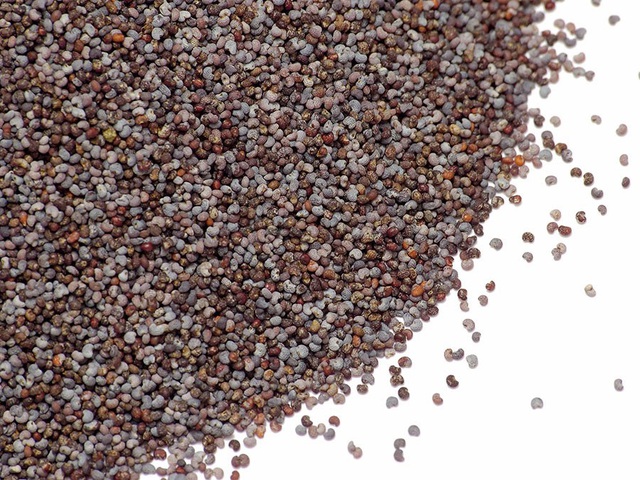 Thai giáo tuần thứ 4