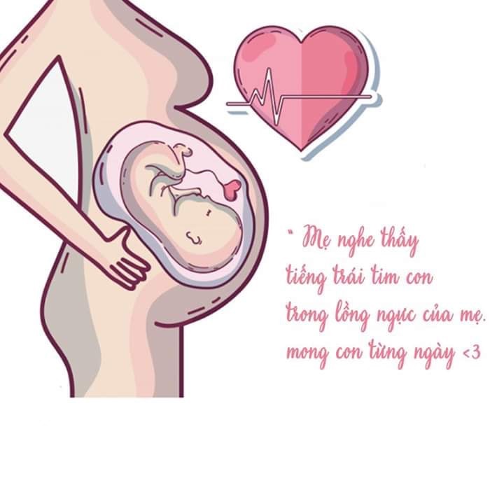 Các mom 26w3day Chuột nhà em chưa quay đầu ạ 😢 Dạo này ban đêm rất khó ngủ, nằm thế nào cũng thấy khó thở :( tâm trạng buồn lại càng thấy khó thở hơn nữa 😔😔😔