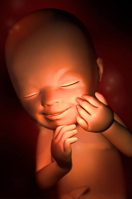 THỊ GIÁC CỦA THAI NHI

Thai nhi sống trong bào thai bị bao bọc bởi nước ối, nhau thai, có thể nói không nhìn thấy gì, nhưng điều đó không có nghĩa là thai nhi không có khả năng thị giác. Vậy thị giác của thai nhi như thế nào?

Sự hình thành thị giác của thai nhi muộn hơn so với sự hình thành của giác quan khác, bởi vì dạ con là môi trường tối, không thích hợp với việc dung mắt nhìn, nhưng mắt của thai nhi không phải không hoàn toàn nhìn thấy. Khi người mẹ mang thai được 2 tháng, mắt của thai nhi bắt đầu được hình thành, đến khi thai nhi được 4 tháng, thai nhi đã có khả năng cảm thụ ánh sang. Có người dung đèn pin chiếu vào bụng mẹ và dung dụng cụ quan sát đặc biệt, quan sát thấy thai nhi mở mắt và quay mặt về phía có ánh sáng rọi vào, đồng thời nhịp tim của thai nhi cũng thay đổi theo quy luật. Tất nhiên, nếu chiếu trực tiếp ánh sáng của đèn vào bụng mẹ, thì thai nhi sẽ cảm thấy khó chịu, khi đó mặc dù thai nhi không quay mặt đi thì cũng tỏ ra hoảng sợ. Y học hiện đại đã dung thiết bị quan sát đặc biệt để quan sát thai nhi và phát hiện, nếu dùng đèn pin lúc bật lúc tắt chiếu vào bụng mẹ thì số nhịp đập của tim thai nhu cũng thay đổi nhanh chóng. Điều đó cho thấy thị giác của thai nhi đã phát huy tác dụng.

Các báo cáo khoa học nói rằng, sau khi sinh được 10 phút đứa trẻ đã có thể sử dụng thị giác, có thể nhận thấy rõ sự thay đổi của mẹ mình trong khoảng từ 15-30cm, thậm chí có thể nhìn thấy bóng của các đồ vật, cụ thể là bóng đen trên nền trắng. Đây cũng là một mắt xích quan trọng cho các bài tập kích thị thị giác sau sinh của trẻ. Những bằng chứng trên không chỉ cho thấy trẻ sơ sinh vẫn giữ được thói quen sống trong môi trường dạ con, mà còn cho thấy ngay từ khi còn ở trong bụng mẹ, thai nhi đã có thể sử dụng thị giác, quan sát được môi trường trong phạm vi của dạ con. Đây là một trong những cơ sở và căn cứ khoa học cho quá trình giáo dục thai nhi.

Tham khảo: Newborn care and safety; Child Development; Thai giáo 280 ngày.